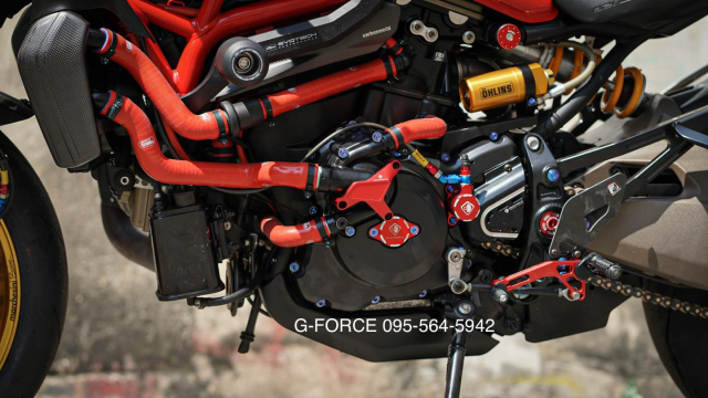 Ducati Monster 821 do hao nhoang voi goi Option dinh dam - 11