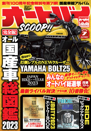 yamaha bolt 300