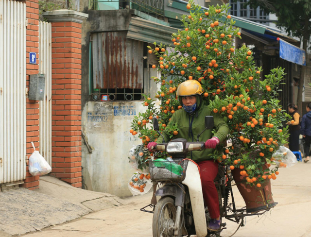 Cho cay ngay tet nguoi di xe may co the bi phat hon 500 ngan