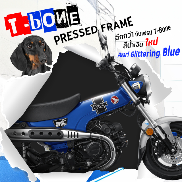 Honda Dax 2024 lo dien ve ngoai moi gia chua den 60 trieu Dong - 8